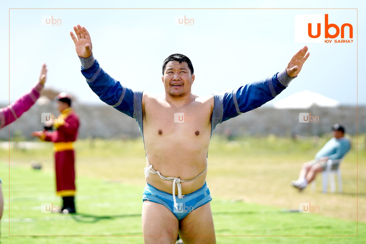 ФОТО: Улсын заан Б.Пүрэвсайхан Ховд бөхийн дэвжээний сорилго барилдаанд  зодоглож байна