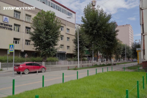 Баянгол дүүргийн хэмжээнд 456 байршилд зүлэг тарьж, ногоон байгууламжийг нэмэгдүүлсэн байна