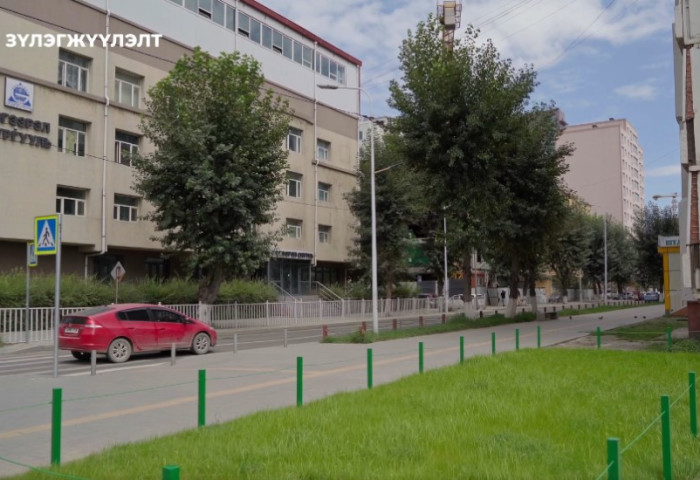 Баянгол дүүргийн хэмжээнд 456 байршилд зүлэг тарьж, ногоон байгууламжийг нэмэгдүүлсэн байна