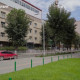 Баянгол дүүргийн хэмжээнд 456 байршилд зүлэг тарьж, ногоон байгууламжийг нэмэгдүүлсэн байна
