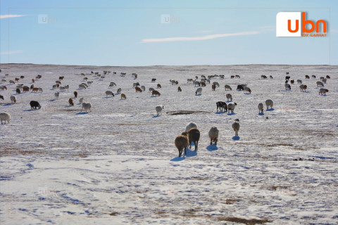 Нийт нутгийн 40 гаруй хувьд бэлчээрийн даац хэтэрчээ