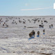 Нийт нутгийн 40 гаруй хувьд бэлчээрийн даац хэтэрчээ