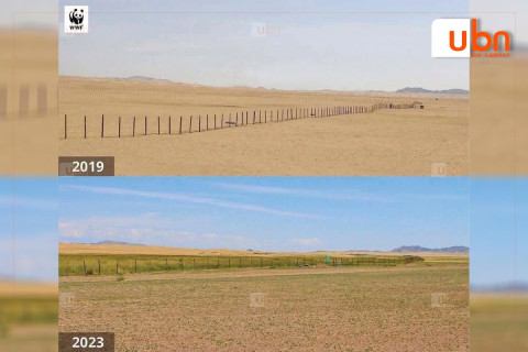 Хөхморьт сумын 121 га талбайг хашиж, элсний нүүдлийг сааруулжээ     