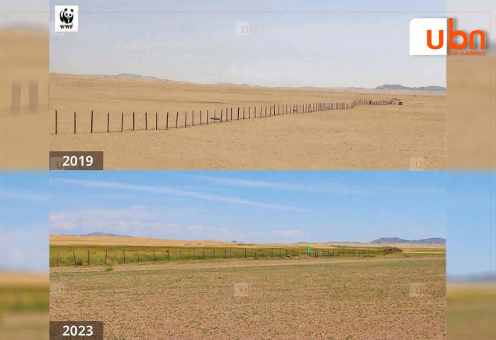 Хөхморьт сумын 121 га талбайг хашиж, элсний нүүдлийг сааруулжээ     