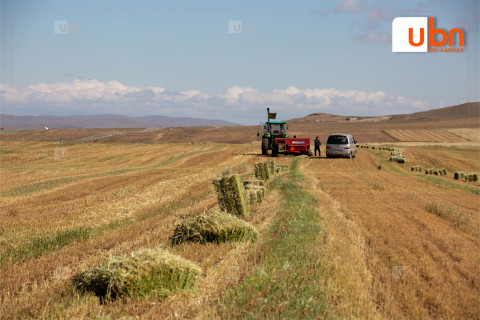 Есдүгээр сард хөрсөн дээр цочир хүйтрэх тул ургац хураалтын ажлаа цаг агаартай уялдуулан төлөвлөх хэрэгтэй