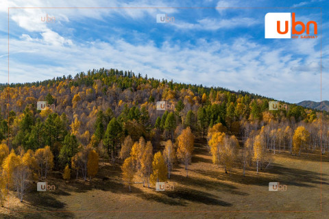 ӨГЛӨӨНИЙ МЭНД: Улаанбаатарт 19 хэм дулаан, бороо орохгүй