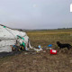 Сэлэнгэ аймгийн Ерөө сумын малчин айлын гэр рүү өнгөрсөн шөнө баавгай халджээ