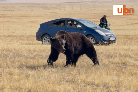 Баавгайн бууны тоноглолыг цаашдаа Мазаалай судалгаанд ашиглана