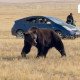 Баавгайн бууны тоноглолыг цаашдаа Мазаалай судалгаанд ашиглана