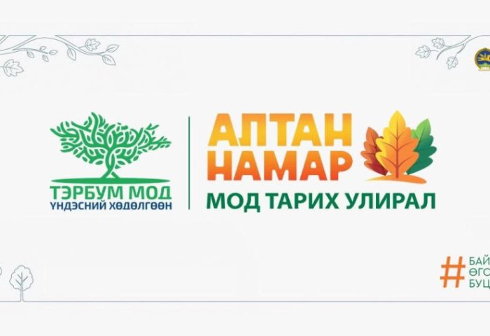 Намрын улиралд 10-р сарын 20-ныг хүртэл мод тарьж ургуулахад хамгийн тохиромжтой