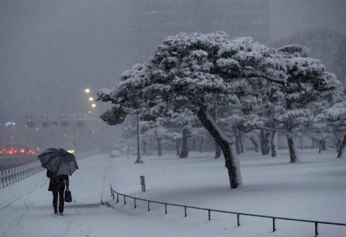 Солонгос, Японд цаг агаарын аюултай үзэгдлээс сэрэмжлүүллээ