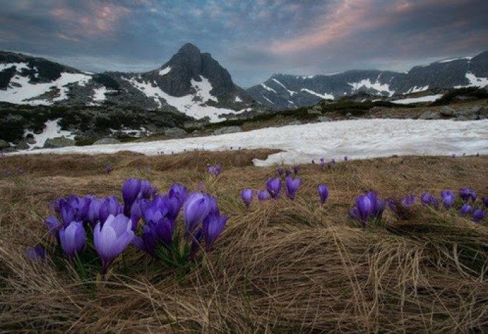 Ханш нээх өдөр амьтад ичээнээсээ гарч, амьд байгаль сэргэдэг