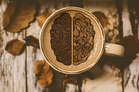 Эрдэмтэд кофе тархинд хэрхэн нөлөөлдгийг судалжээ