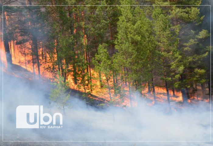 42 хүний амь эрсдээд байгаа Алжирын түймрийн шалтгааны  50 орчим нь 