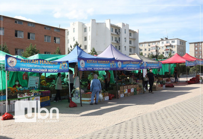 Хүнсний ногооны үзэсгэлэн худалдаа зохион байгуулж буй 25 БАЙРШИЛ