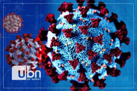 ИНФОГРАФИК: Монголчууд коронавирусээр “1010” хүнээ алдаад байна