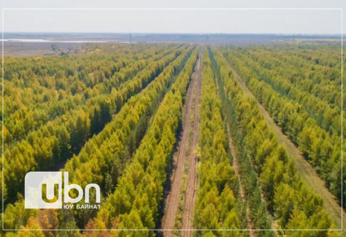 “Тэрбум мод” үндэсний хөтөлбөрийн нээлт өнөөдөр эхэлж байна