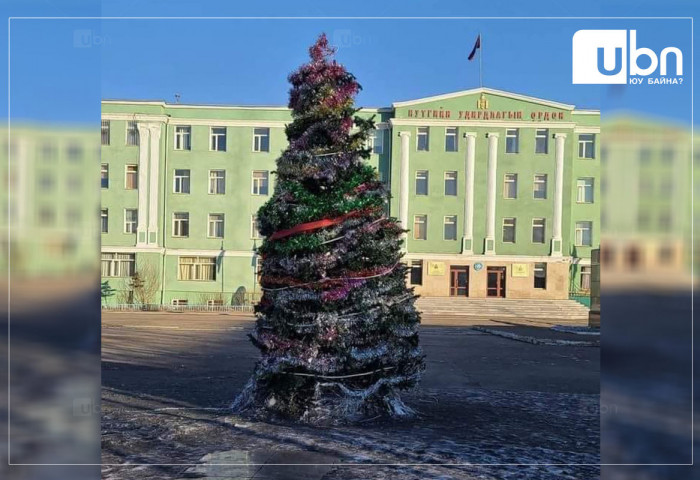 Завханы СҮЛД МОД бүх цаг үеийн хамгийн гайхалтай СҮЛД МОДООР шалгарлаа