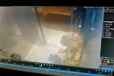 БИЧЛЭГ: Хүүхдүүд лифтэнд хаясан хогоо шатааж, гал гаргажээ