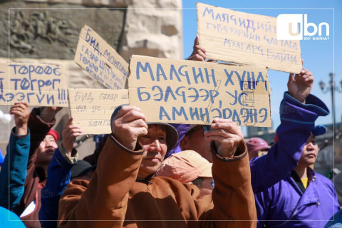 ФОТО: Дорноговь аймгийн малчид Сүхбаатарын талбайд жагсаж байна