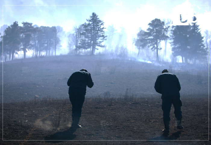 Баян-Өлгий аймгийн нутагт гарсан хээрийн түймрийг унтаахаар ажиллаж байна