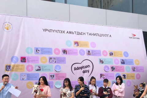 Амьтан үрчлүүлэх “Adoption day”  өдөрлөг боллоо