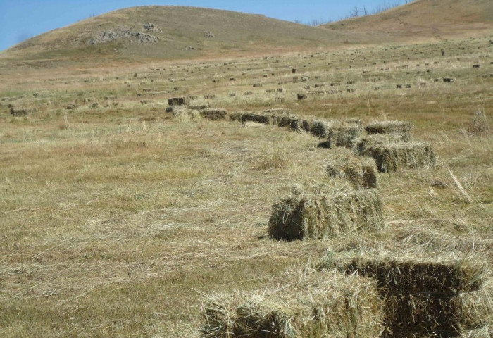 МАЛЧДЫН ТҮВШИНД ӨВС, ТЭЖЭЭЛ БЭЛТГЭЛ 84.5 ХУВЬТАЙ ГАРЛАА