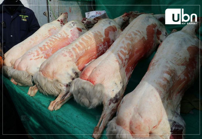 “Хүчит шонхор“ захын худалдаачид 37 кг жинтэй хонины ууцыг 46 кг жинтэй хэмээн зарж байжээ