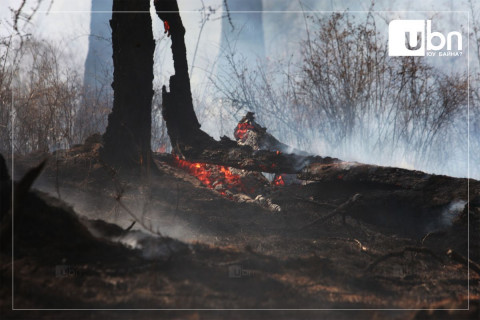 Хөвсгөл аймгийн Чандмань-Өндөр суманд гарсан ой хээрийн түймрийн улмаас 8 га газар шатжээ