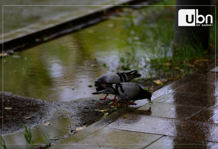 ӨГЛӨӨНИЙ МЭНД: Өнөөдөр Улаанбаатарт 16 хэм дулаан, бороотой