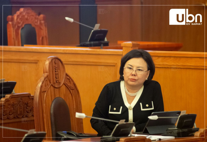 С.Одонтуяа: Үнэ тогтворжуулах тогтоолын хүрээнд ямар компаниуд зээл авсан юм бэ. Яаралтай аудит оруулмаар байна