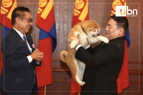 Ерөнхий сайд Л.Оюун-Эрдэнэ Япон Улсын Ерөнхий сайд асан Ё.Сүгагийн бэлэг Акита үүлдрийн нохойг хүлээн авлаа
