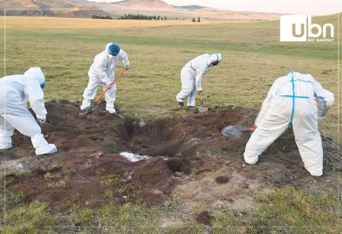 Төв аймгийн Мөнгөнморьт суманд БООМ өвчин илэрч, хорио цээрийн дэглэм ТОГТООЖЭЭ