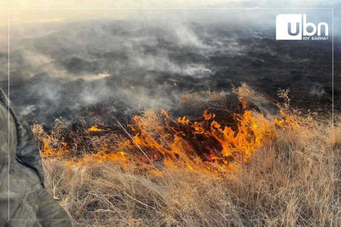 Өвөрхангай аймгийн Есөнзүйл суманд хээрийн түймэр гарч, 75 га талбай шатжээ