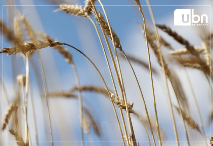 Үр тарианы 92.1 хувийг хураажээ