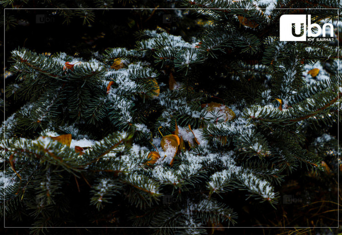 Энэ сарын 22-ноос хүйтний эрч өдөртөө бага зэрэг суларна