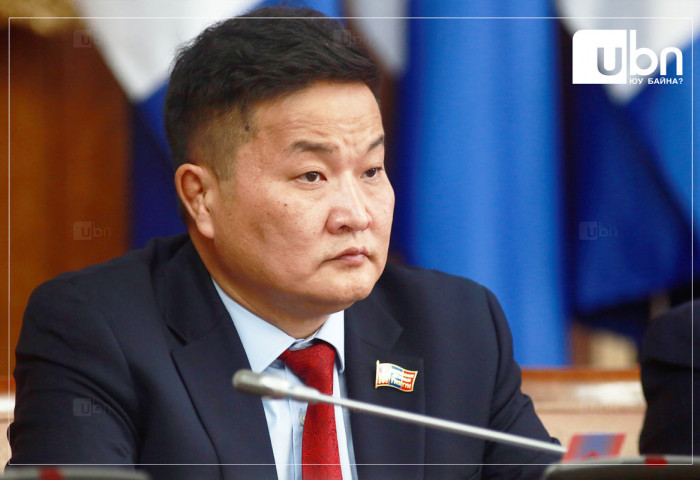 “Монгол Улсын төр сонгуулийн үед эмзэг байдалд ордог. Тэр үед дархлаа нь шалгагддаг“