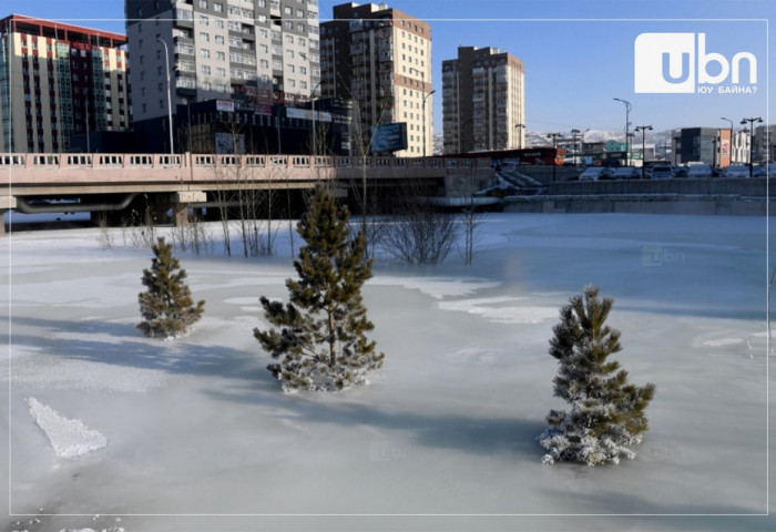 Сэлбэ голд үүссэн халиа, тошингийн асуудлаар НЗД-ын орлогч О.Номинчимэг мэдээлэл хийнэ
