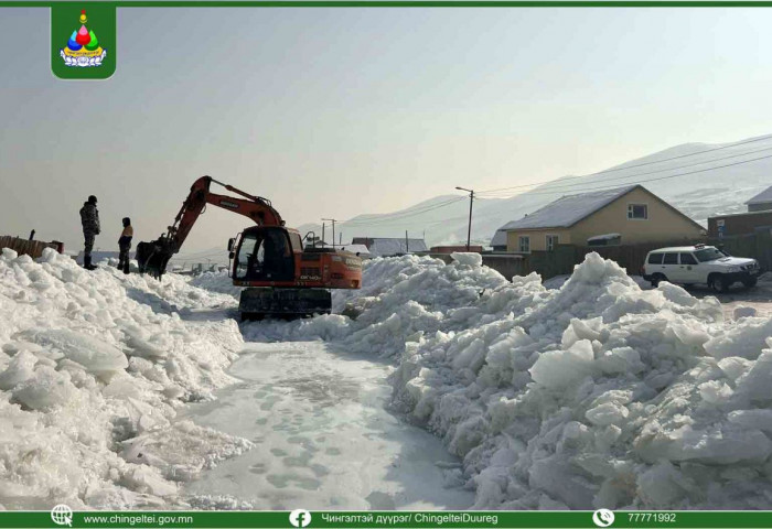 ЧД-ийн 23-р хороонд халиа, дошин үүссэн газруудад шуурхай бүлэг ажиллаж байна