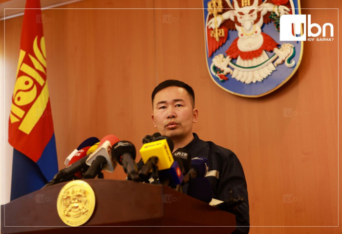 “Өнгөрсөн зун орсон борооны улмаас хотын төв, голын ай сав дагуу халиа тошин үүсэж байгаа“