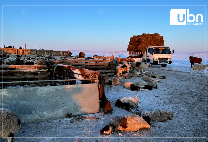 З.Төмөртөмөө: Даланжаргалан суманд олон арван уул уурхайн компани үйл ажиллагаа явуулдаг бөгөөд малын бэлчээргүй болж, хүндхэн нөхцөл байдалтай байна