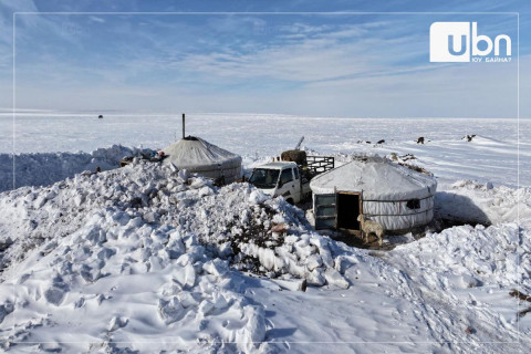 Улсын хэмжээнд 1.5 сая гаруй мал хорогдсоны хамгийн их нь Сүхбаатар аймагт 539 мянга, Хэнтий аймагт 234 мянга хорогджээ