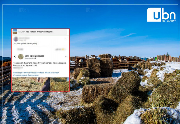 О.Ууганжаргал: “Ногоон тэжээл зарна“ гэж дүүг маань хохироосон хүн бусад малчдыг ч мөн хохироож, 2-7 сая төгрөг залилсан байна лээ