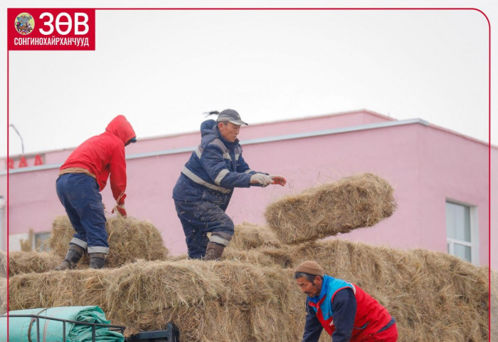 Сонгинохайрханчууд “Малчдадаа тусалъя” аянд нэгдлээ