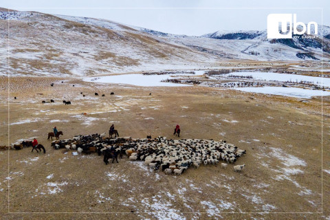 БНХАУ-аас  Монгол Улсад хонины цэцэг өвчний эсрэг 2,5 сая тун вакцин нийлүүлнэ