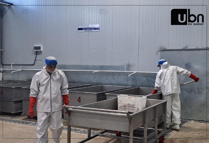 Махны 49 үйлдвэрийн үйл ажиллагаа эрхлэх дүгнэлтийг цуцаллаа