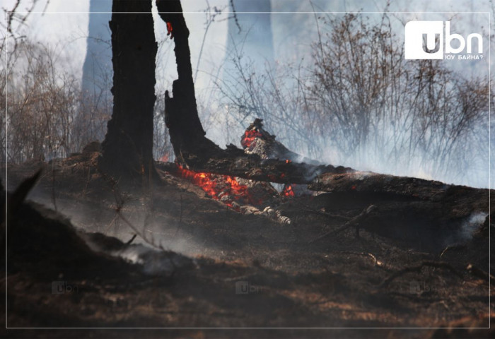 Булган аймгийн Хутаг-Өндөр суманд ой, хээрийн гал түймэр гарч, 3 га талбай өртжээ