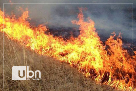 Сүхбаатар аймгийн Дарьганга суманд хээрийн түймэр гарч, 2800 га талбай өртжээ