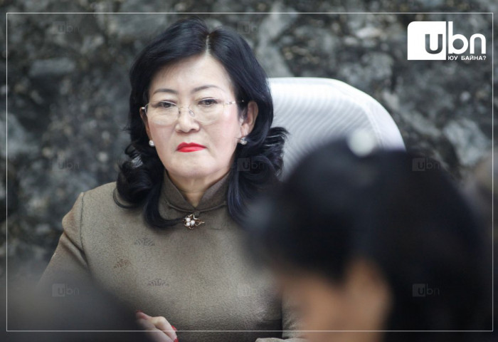 ЭМИЙН СОНСГОЛ: Эрүүл мэндийн сайд асан А.Цогцэцэг эмийн салбар дахь “Өлзийдэн“ гэх компанитай хамааралтай