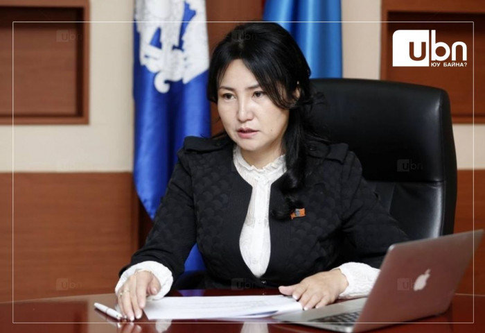 ШИНЖЭЭЧ: Эрүүл мэндийн дэд сайд асан Ш.Анхмаа эмийн салбар дахь “Тахилтын овоо“ гэх компанитай хамааралтай